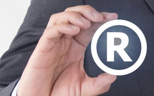 商標申請被駁回的原因及應(yīng)對策略